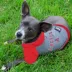 Los Angeles Angels MLB Hoodie Tee image thumbnail 2