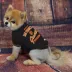 San Francisco Giants MLB Team Tee image thumbnail 2