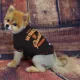 Product San Francisco Giants MLB Team Tee