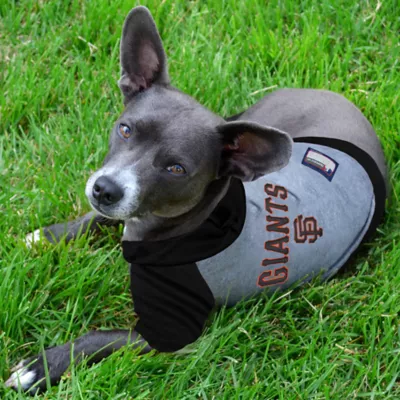 Product San Francisco Giants MLB Hoodie Tee