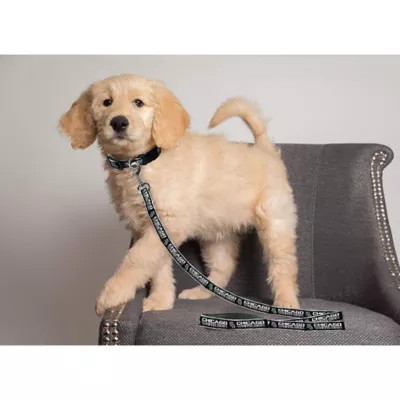 Product Chicago White Sox MLB Leash