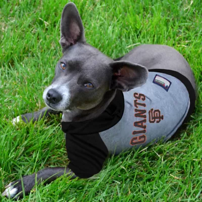 Product San Francisco Giants MLB Hoodie Tee