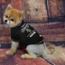 Chicago White Sox MLB Team Tee image thumbnail 2