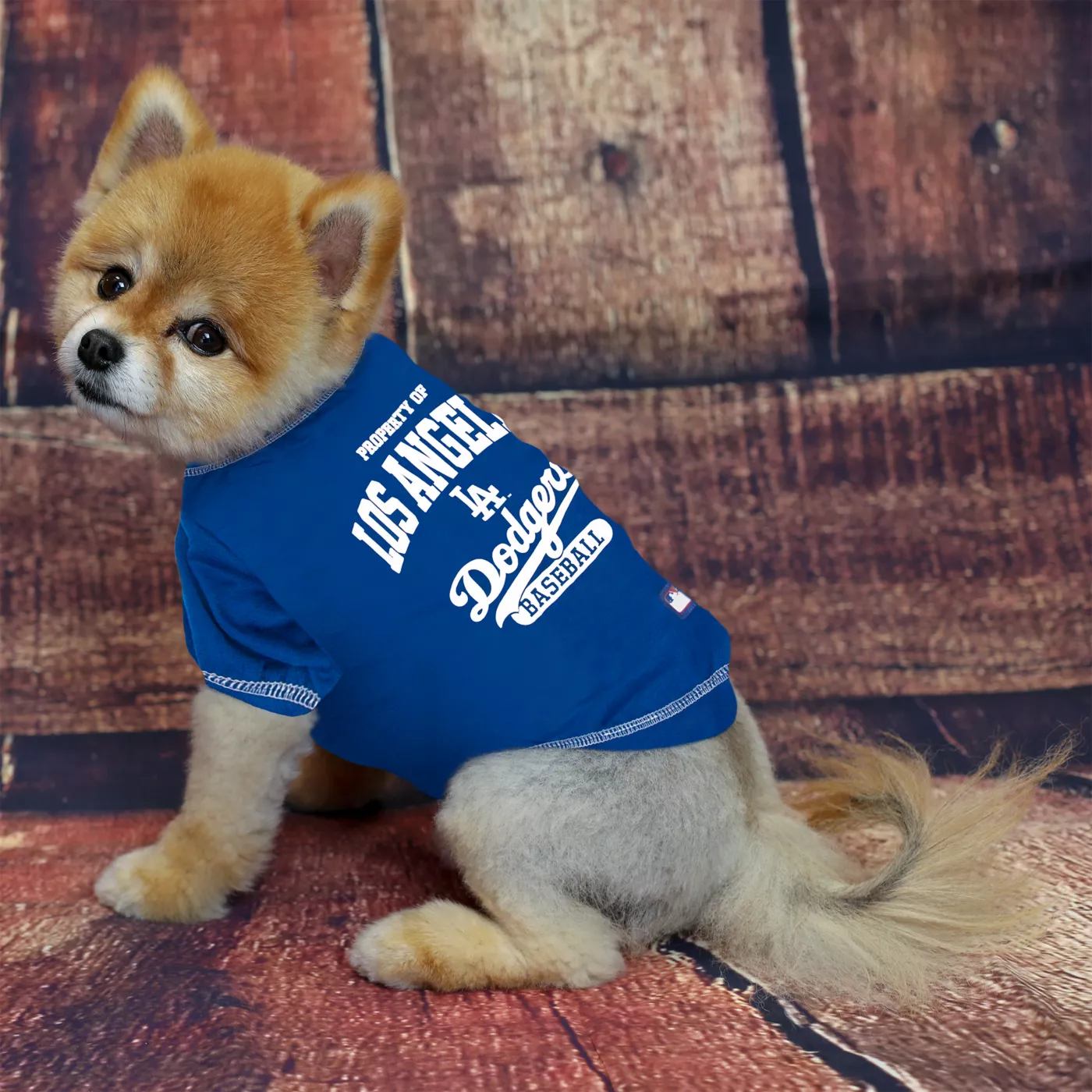 Dodgers puppy clothes hotsell