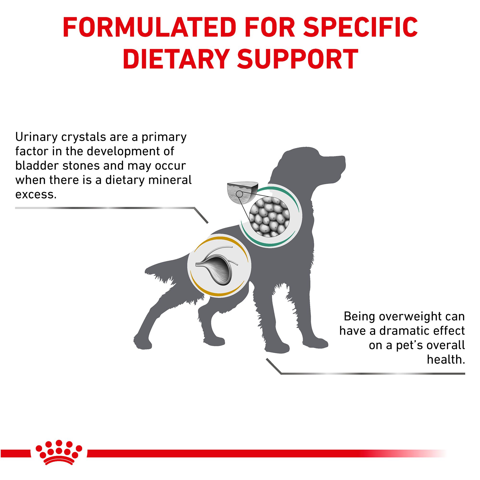 Royal Canin Veterinary Diet Multifunction Adult Dry Dog Food Urinary Satiety Chicken