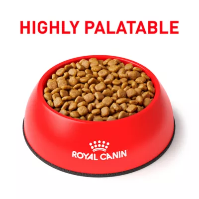 Hydrolyzed royal canin best sale