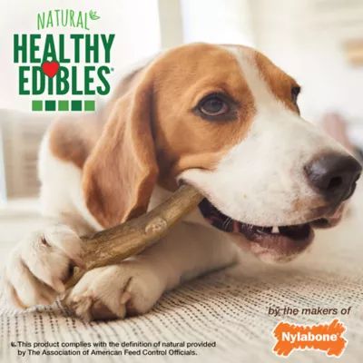 Nylabone Healthy Edibles Antler Real Venison 10 Count