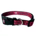 Washington Nationals MLB Dog Collar image thumbnail 1