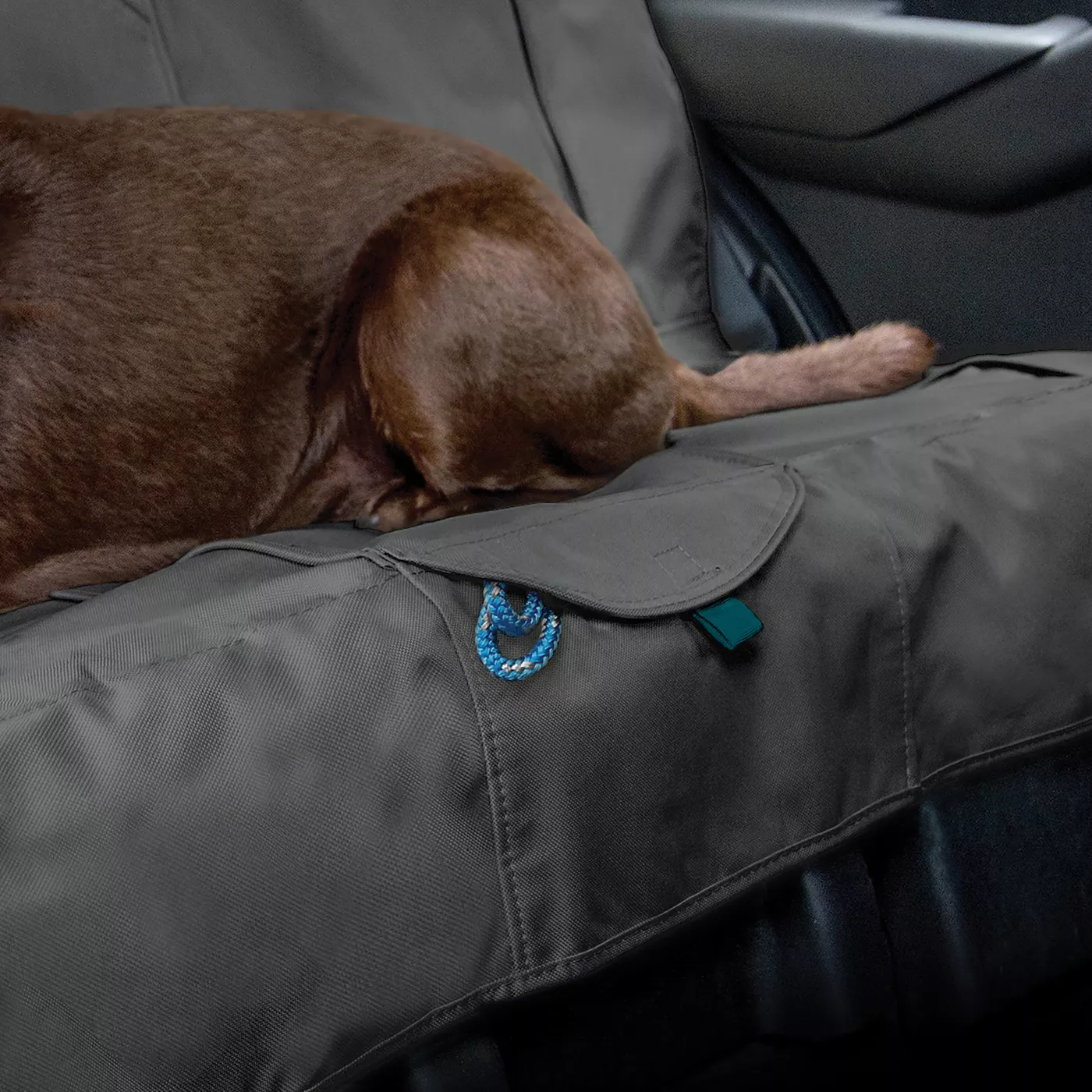 Dog car seat covers petsmart hotsell