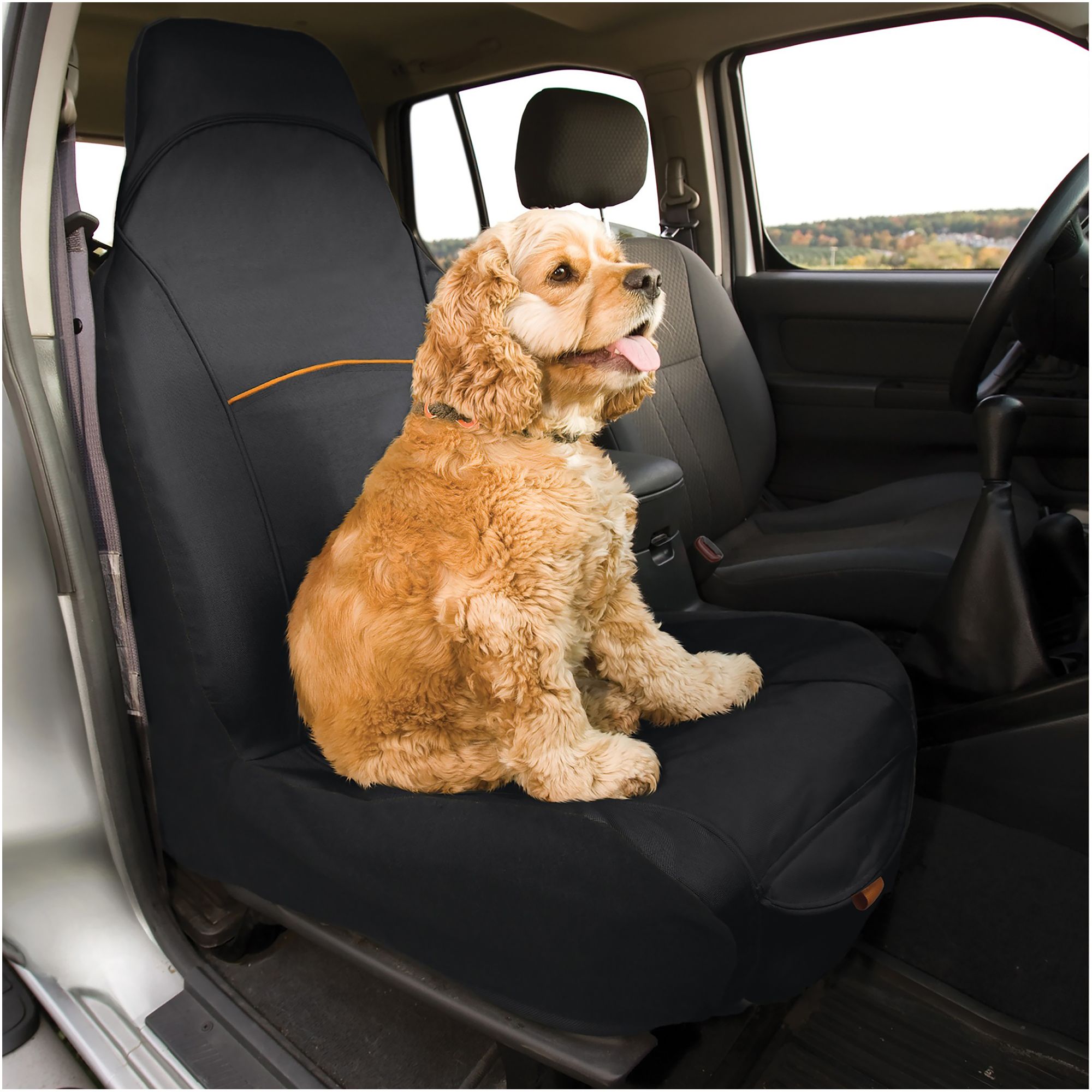 Dog seat belt tether 2024 petsmart