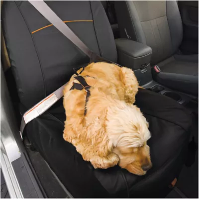 Petsmart dog seat cover hotsell