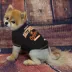 Baltimore Orioles MLB Team Tee image thumbnail 2