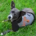 Baltimore Orioles MLB Hoodie Tee image thumbnail 2