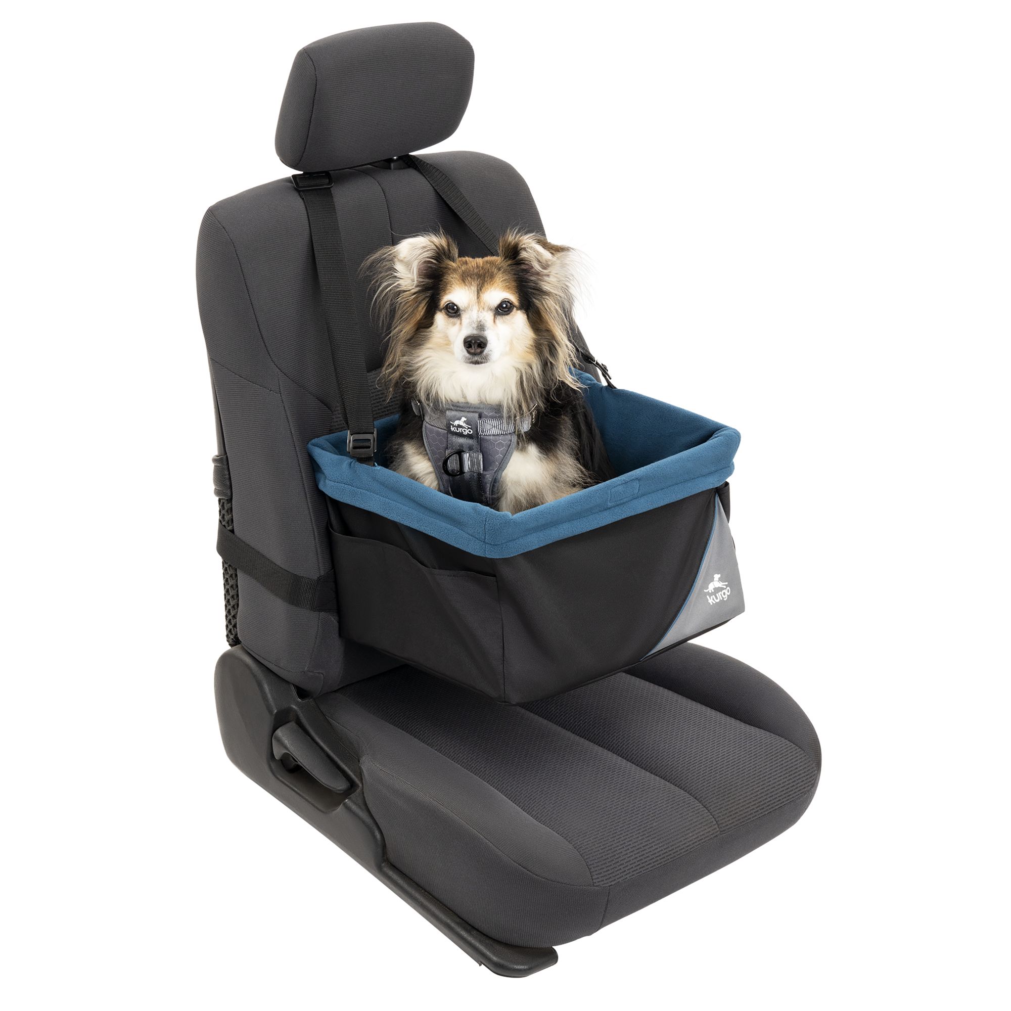 Dog seat shop belt tether petsmart