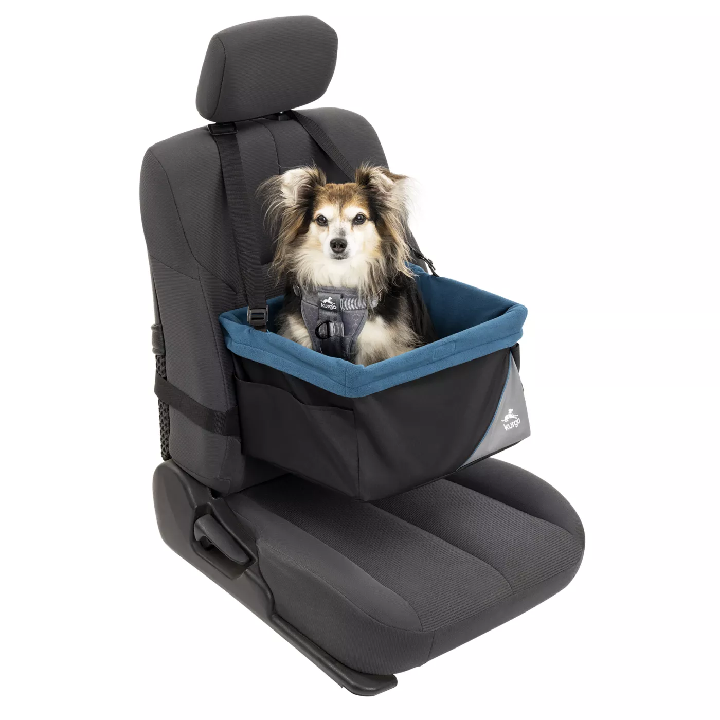 Kurgo fashion dog seat