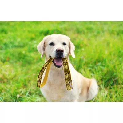 Product San Diego Padres MLB Dog Leash