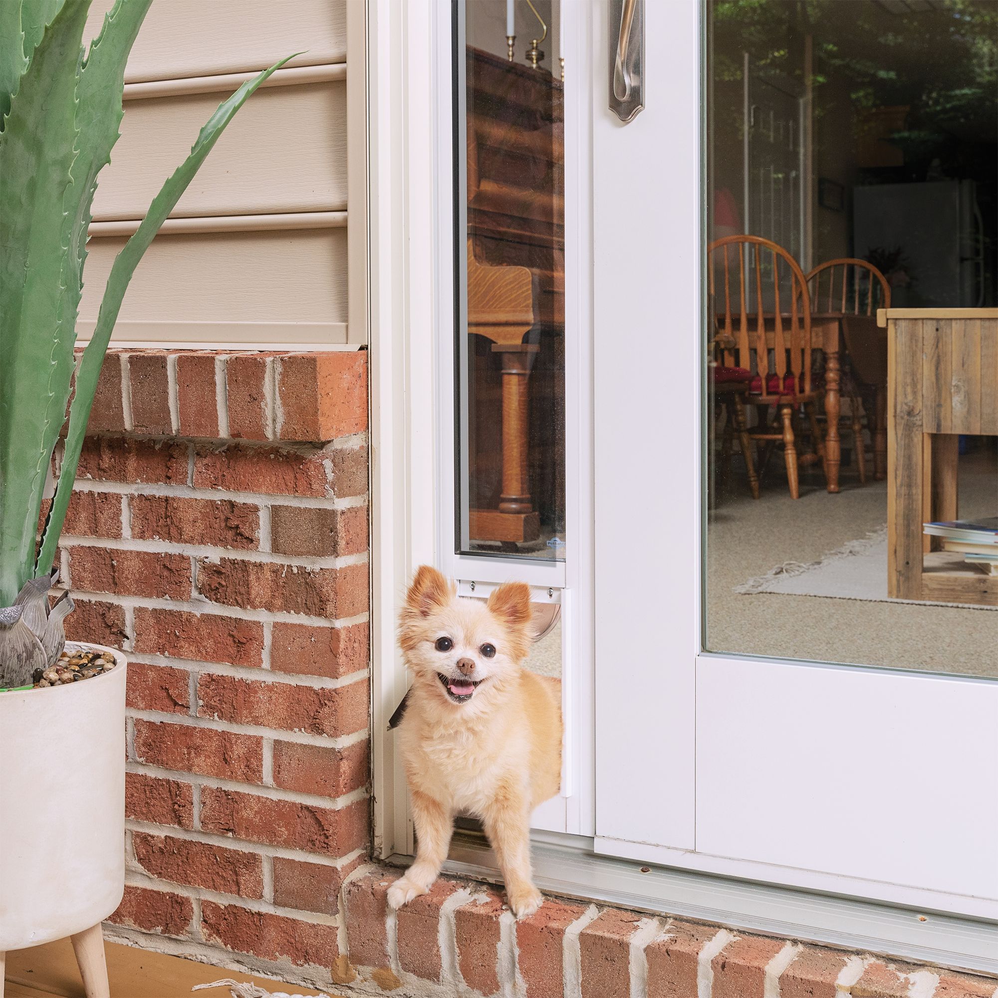 Dog door 2025 sliding door insert