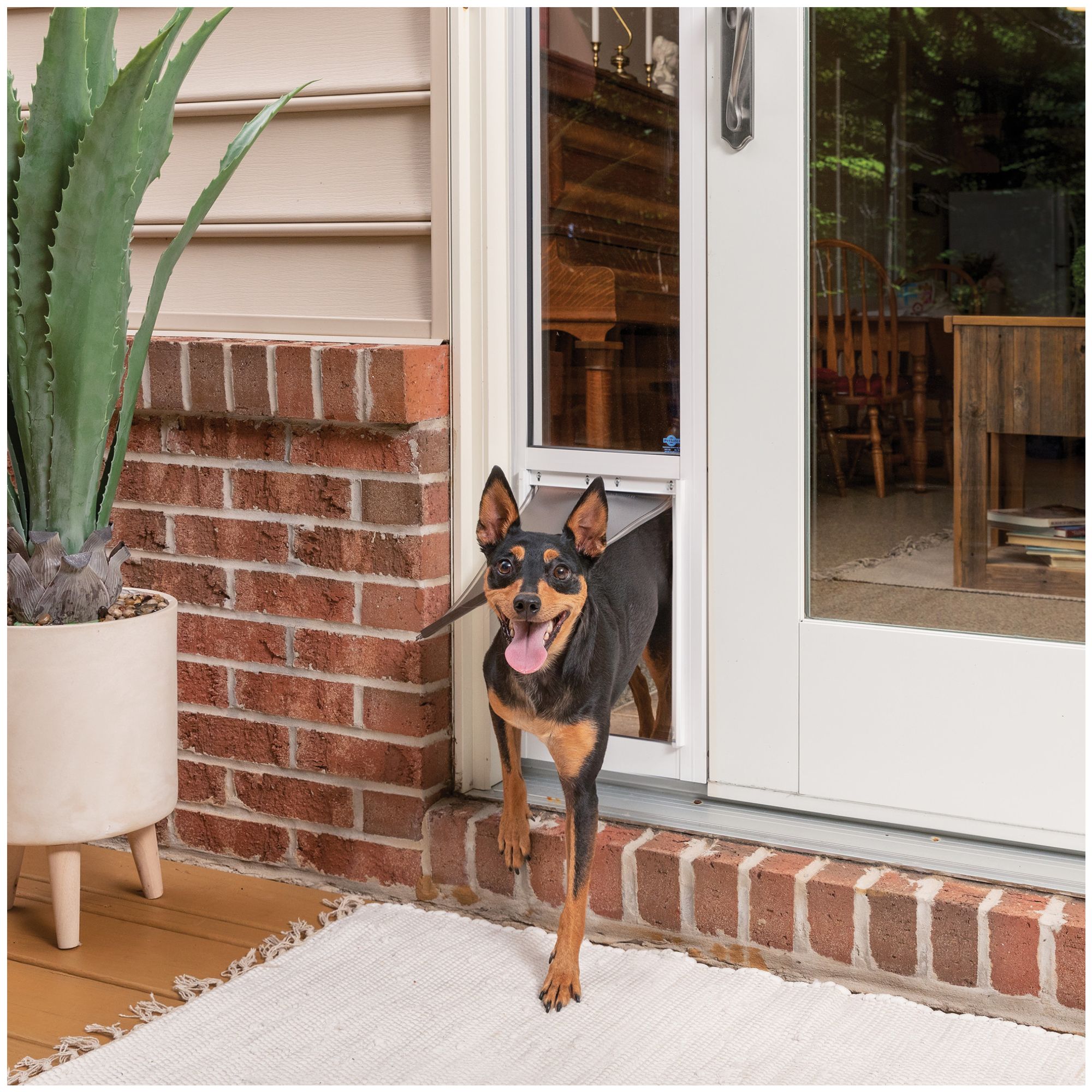 PetSafe Sliding Glass Pet Door Quick Installation No Cutting Installation