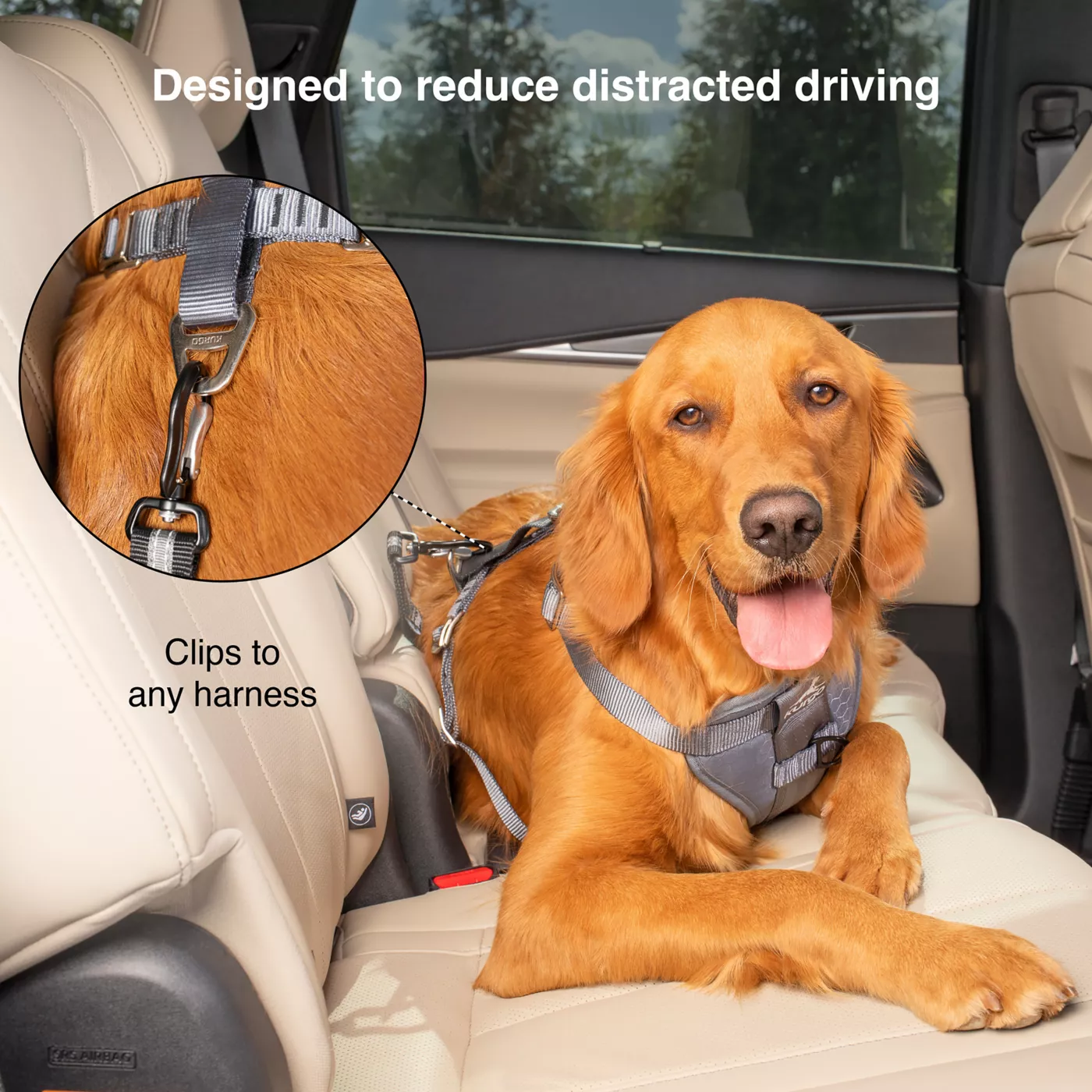 Dog car harness tether best sale