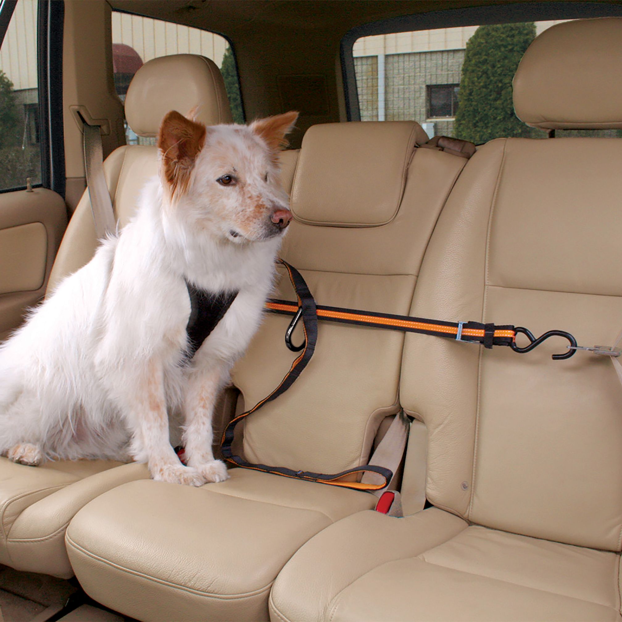 Car Seat Covers For Dogs Petsmart See More...