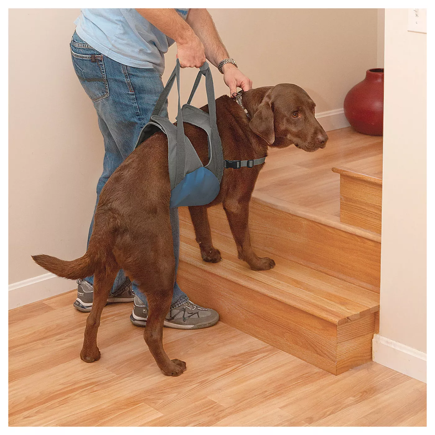 Kurgo Up About Dog Lifter Lift Support for Dogs For Dogs Between 50 90 lbs One Size