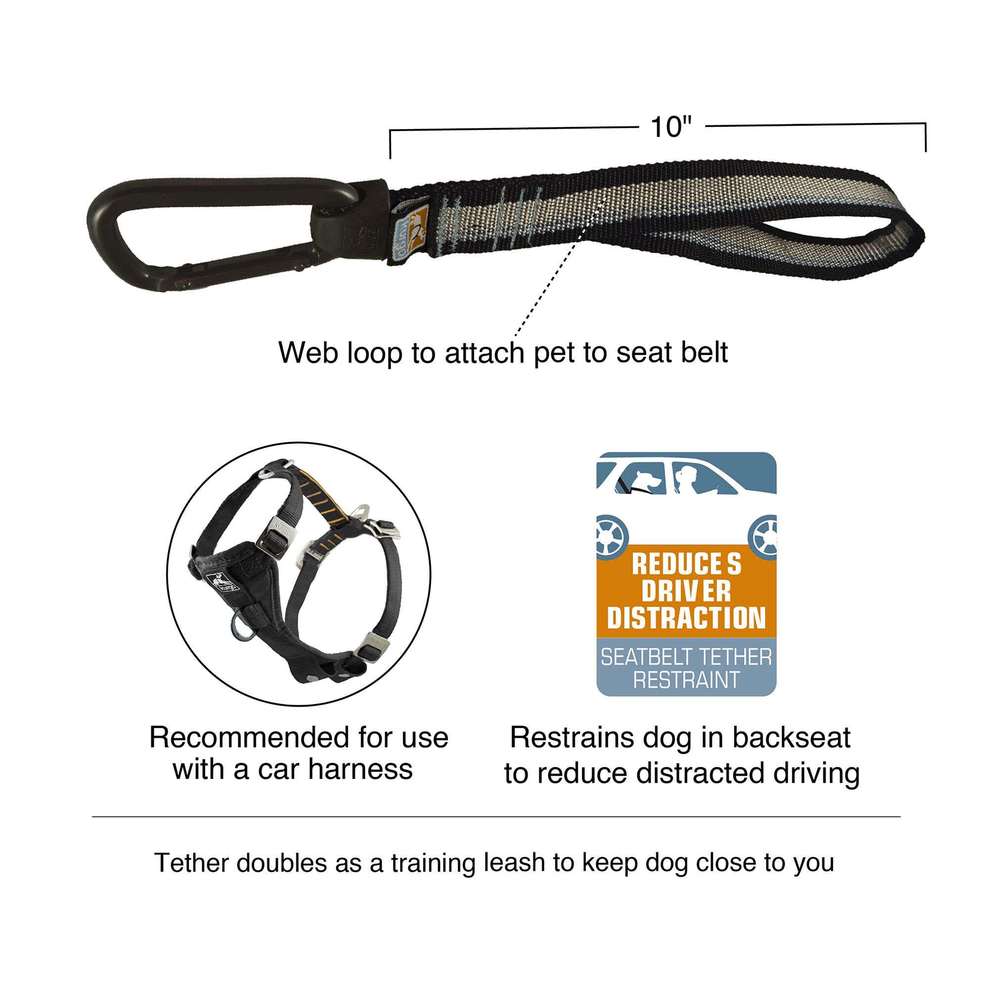 dog seat belt