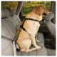 Product Kurgo® Dog Seat Belt Tether with Carabiner - Enhanced Strength Replacement Tether - Black/Grey