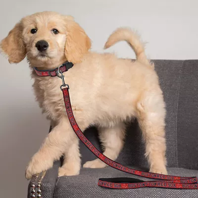 Product Boston Red Sox MLB Dog Leash