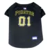 Pittsburgh Pirates MLB Jersey image thumbnail 1