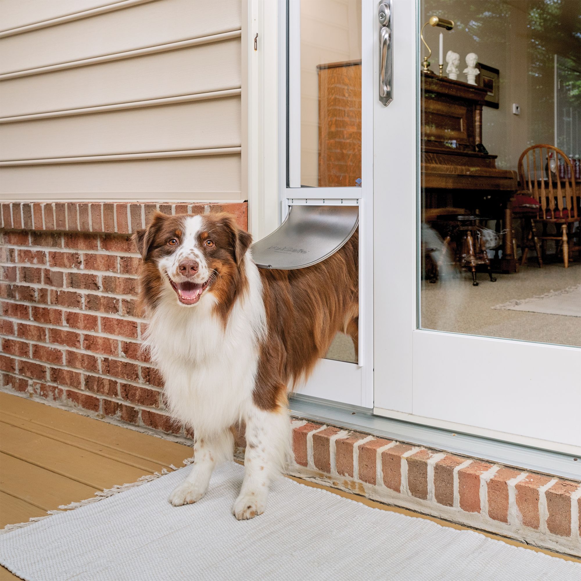 Removable dog door store for sliding door