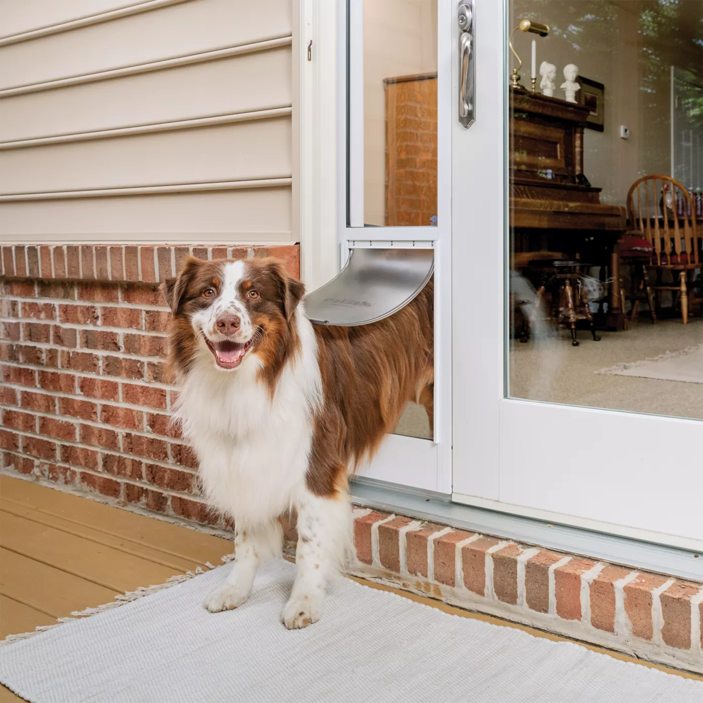 Glass door with pet door built in best sale