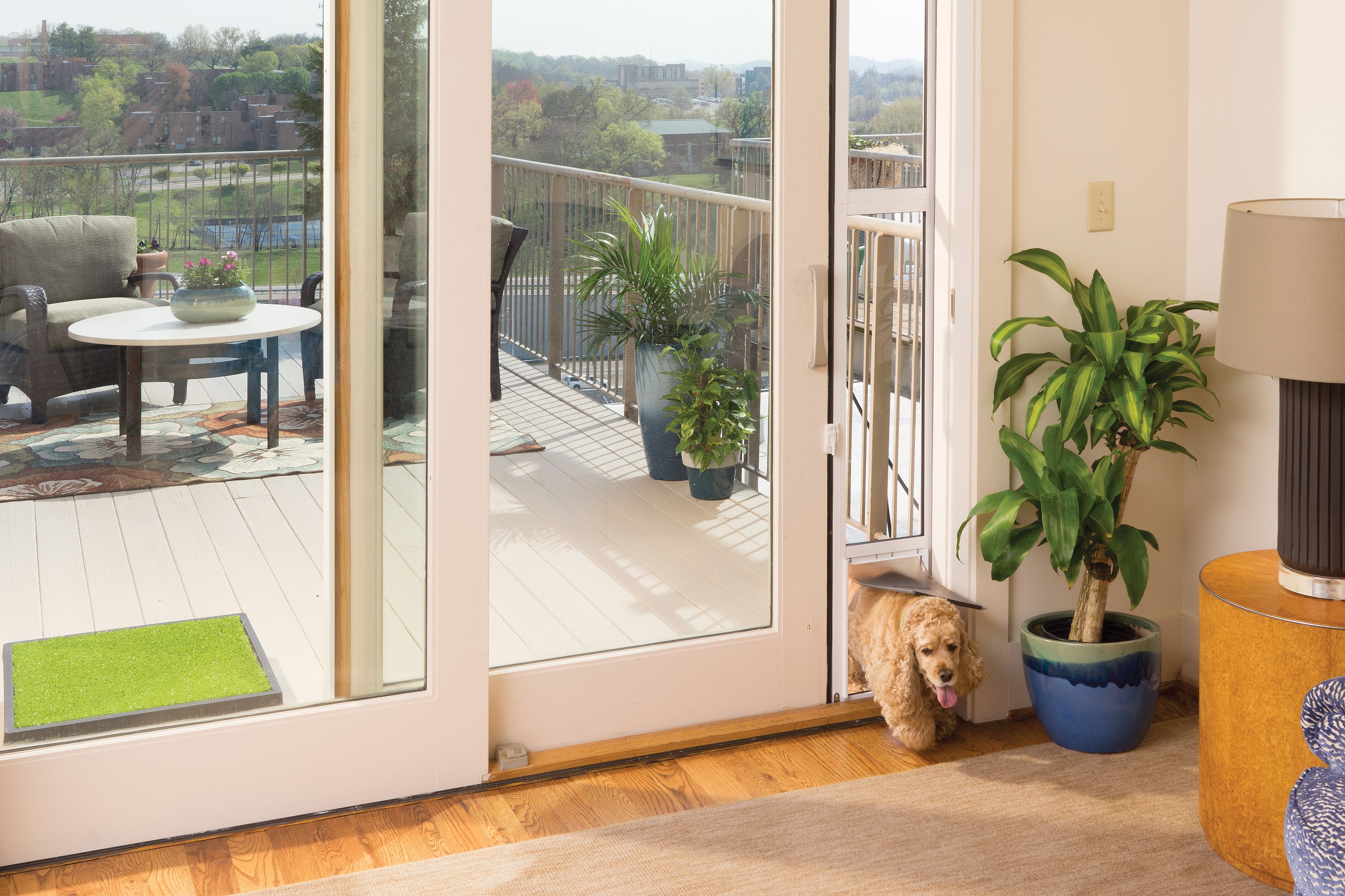 doggy door on sliding door