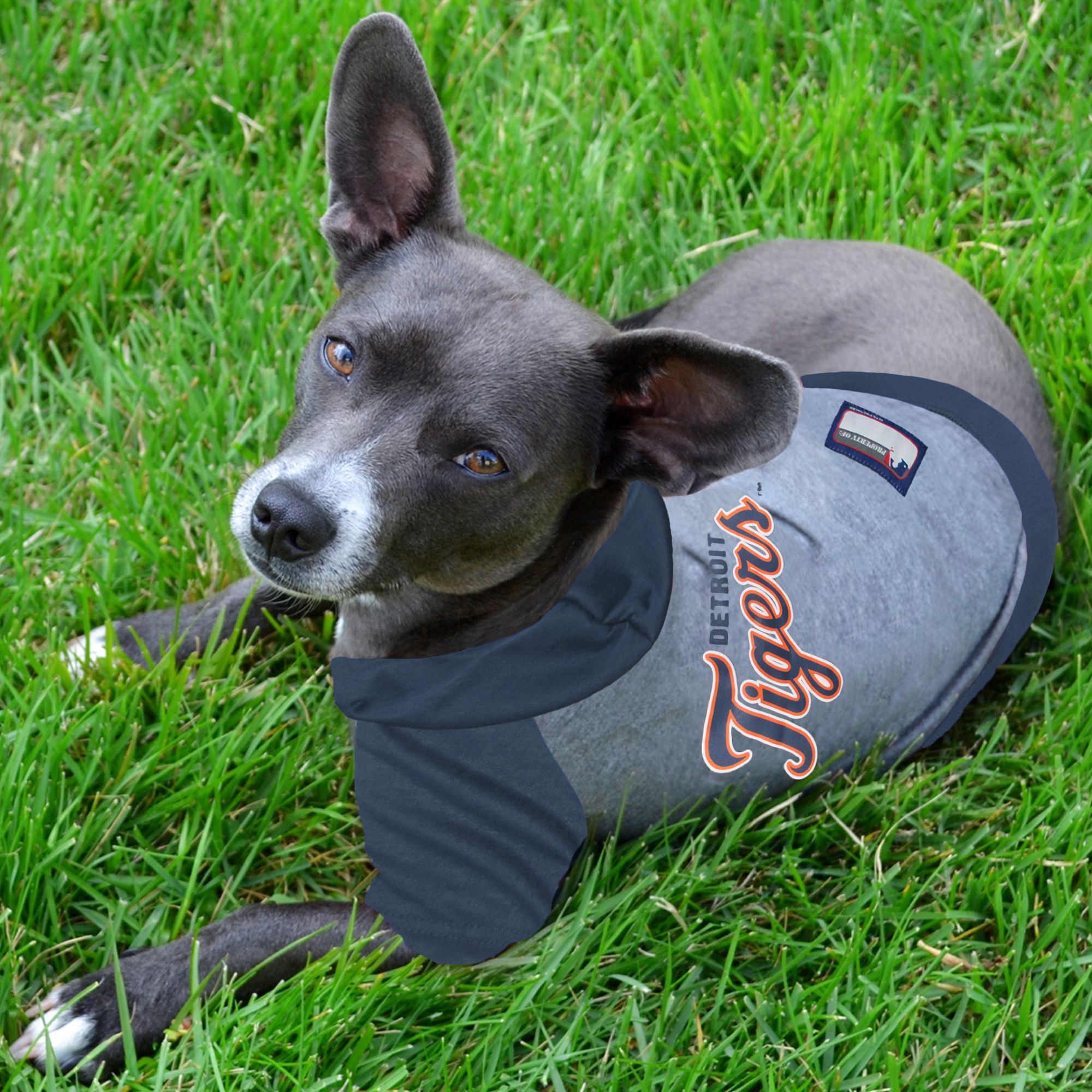 Pets First Detroit Tigers MLB Hoody Tee PetSmart in Tustin CA