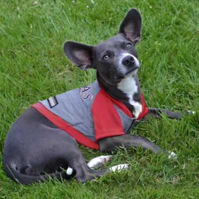 Texas Rangers MLB Hoody Tee - Image 3