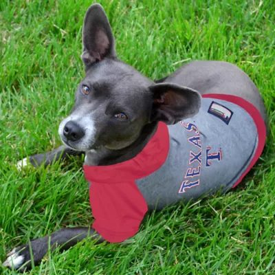 Product Texas Rangers MLB Hoody Tee