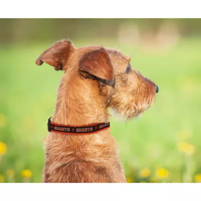 Product San Francisco Giants MLB Dog Collar