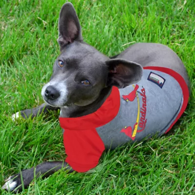Product St. Louis Cardinals MLB Hoodie Tee