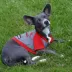 St. Louis Cardinals MLB Hoodie Tee image thumbnail 3
