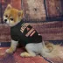 Arizona Diamondbacks MLB Team Tee image thumbnail 2
