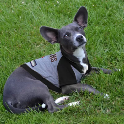 Arizona Diamondbacks MLB Hoodie Tee - Image 3