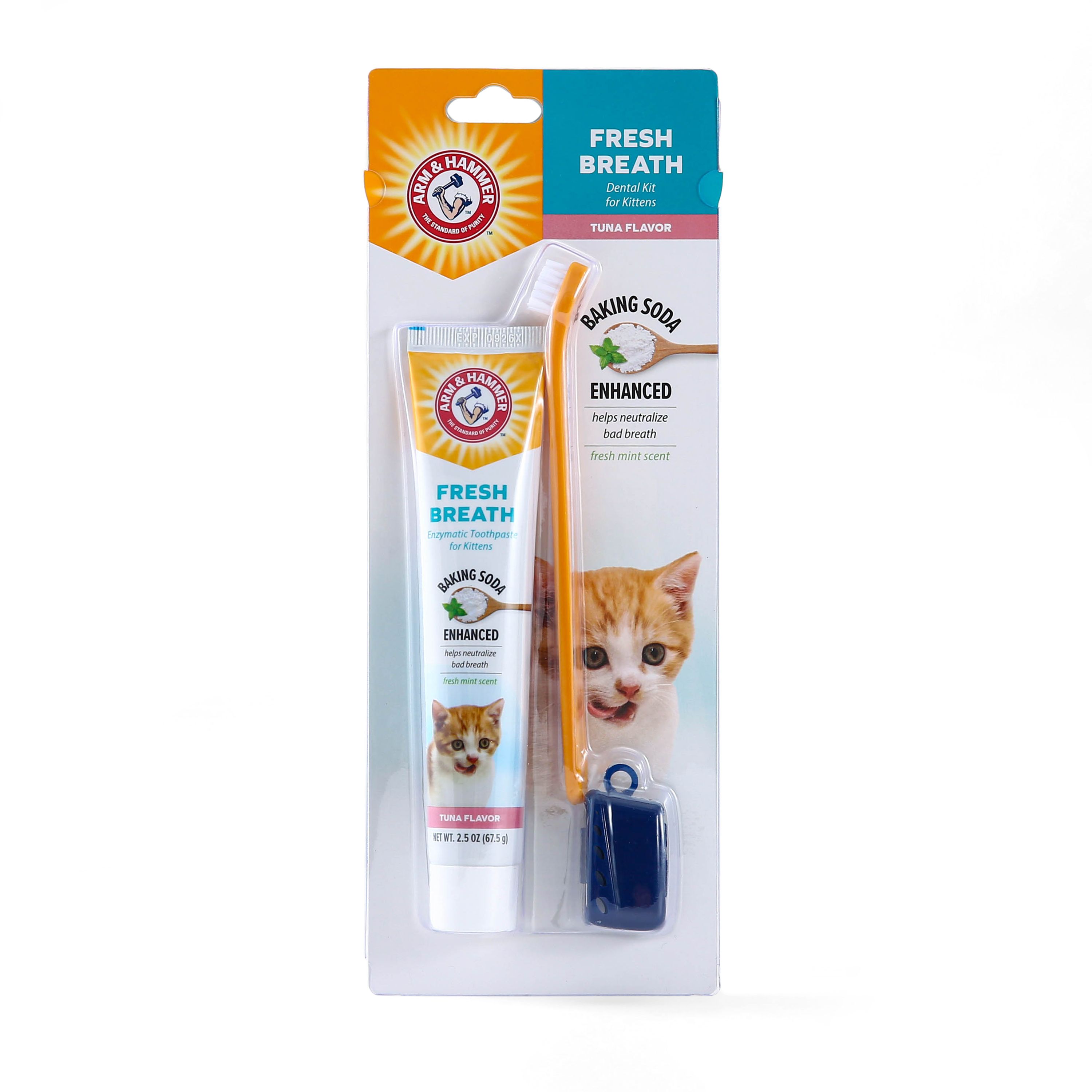 cat toothbrush kit