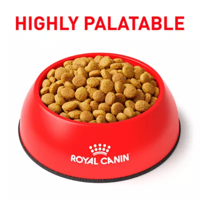 Product Royal Canin Veterinary Diet Multifunction Adult Dry Cat Food - Urinary SO + Calm