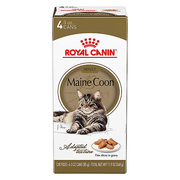 Royal Canin® Bone & Joint Health Adult Cat Food Maine Coon cat Wet