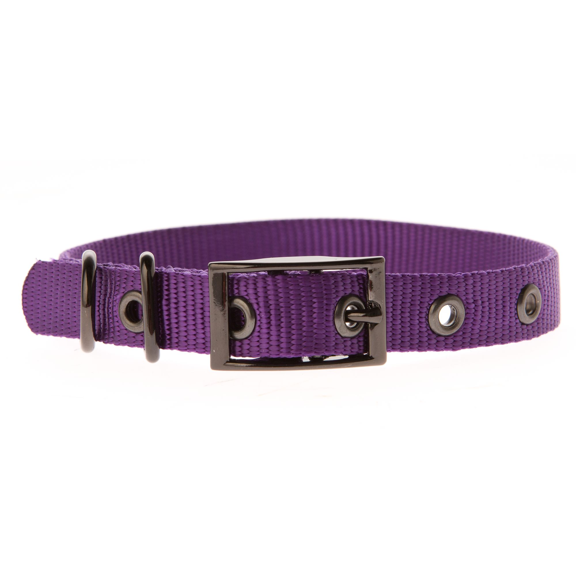 petsmart puppy collars