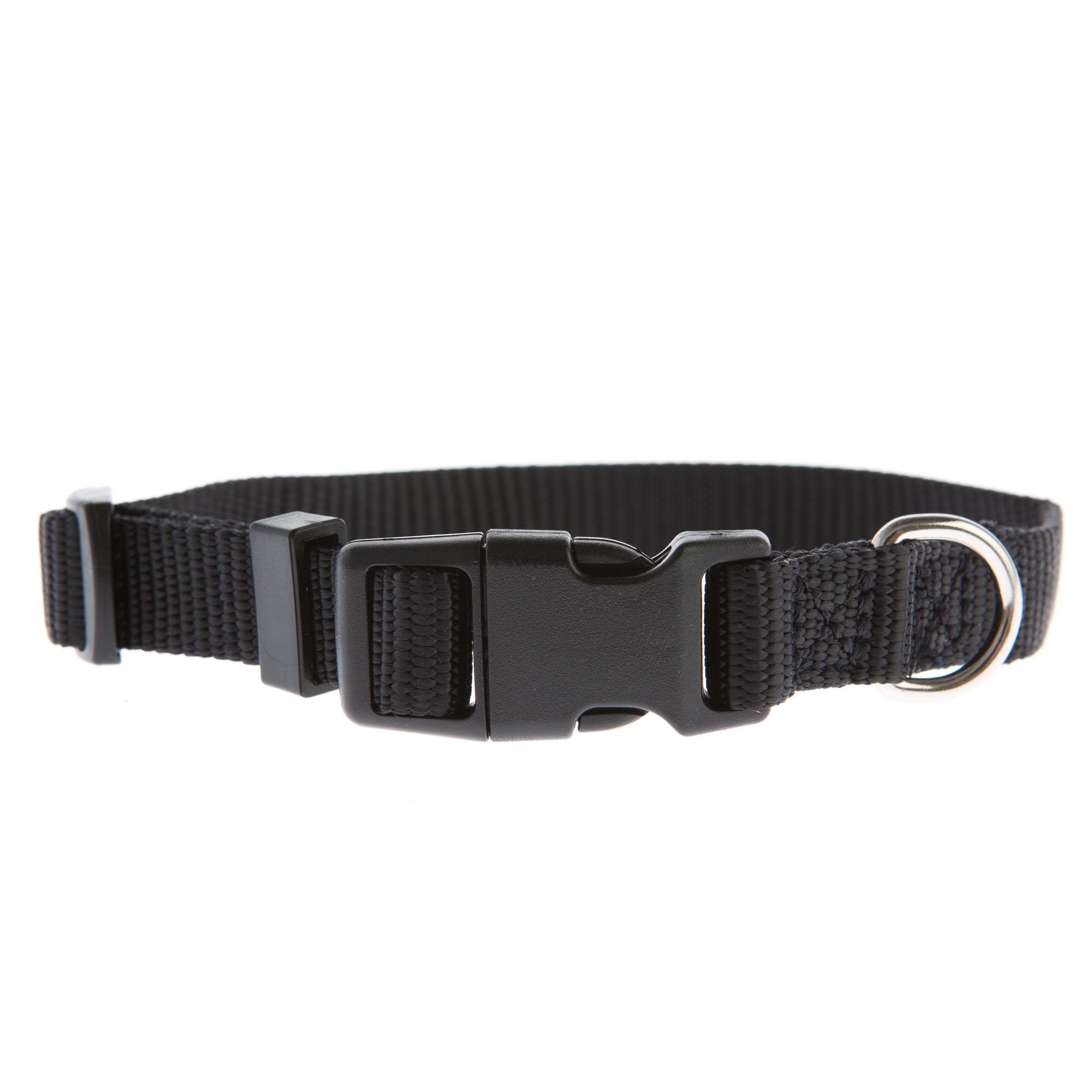 Top Paw® Signature Dog Collar, dog Collars