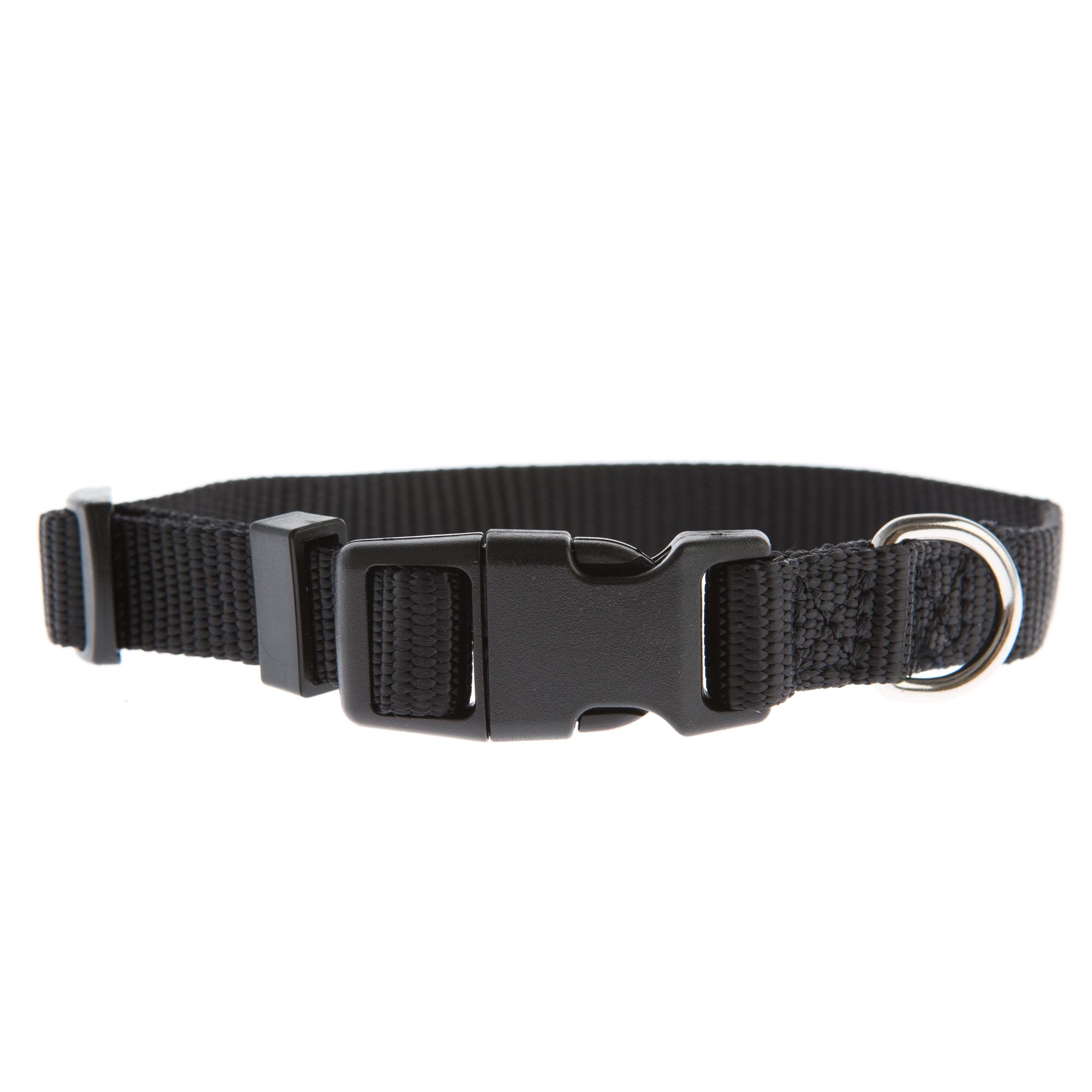 Kool shop collar petsmart