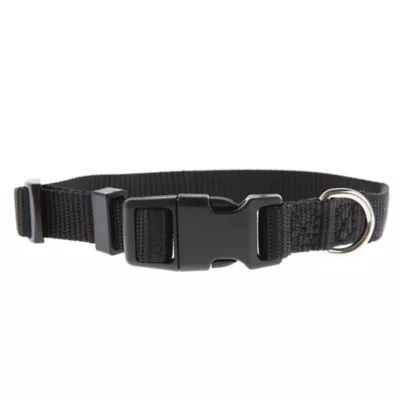 Product Top Paw® Signature Dog Collar