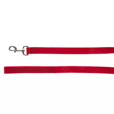Product Top Paw® Nylon Dog Leash: 6-ft long
