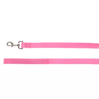 Product Top Paw® Nylon Dog Leash: 6-ft long
