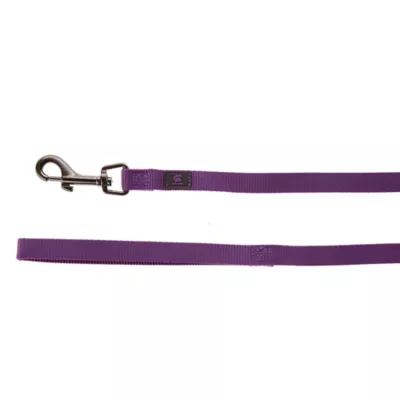 Petsmart chain leash hotsell